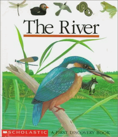 Stock image for The River (First Discovery Book S.) for sale by WorldofBooks