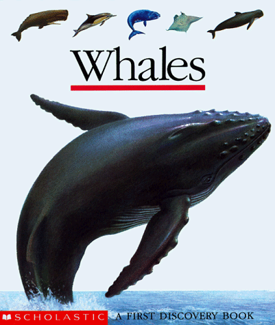 Imagen de archivo de Whales (First Discovery Books) a la venta por Gulf Coast Books