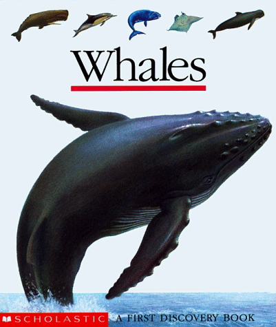 9780590471305: Whales (First Discovery Books)