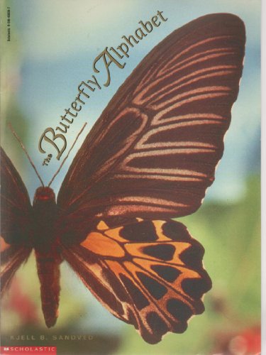 9780590480369: BUTTERFLY ALPHABET