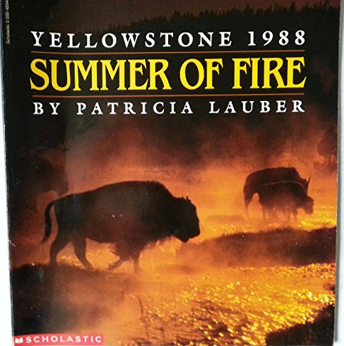 Beispielbild fr Summer of Fire zum Verkauf von Better World Books