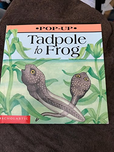 Stock image for Tadpole to Frog for sale by Front Cover Books