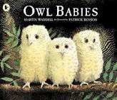 9780590582841: owl-babies