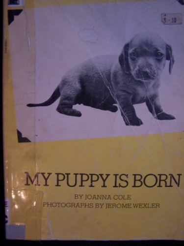 Imagen de archivo de My Puppy is Born a la venta por Persephone's Books