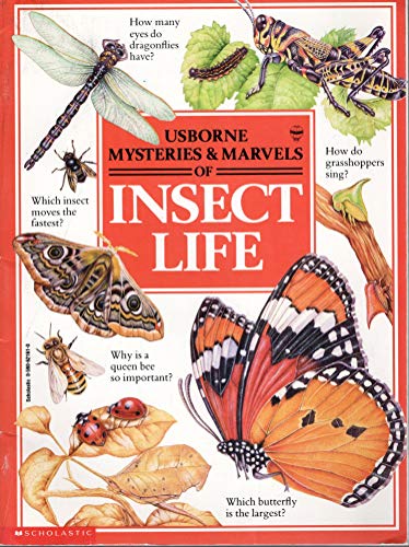 Stock image for Mysteries & Marvels of Insect Life (Usborne) for sale by Jenson Books Inc