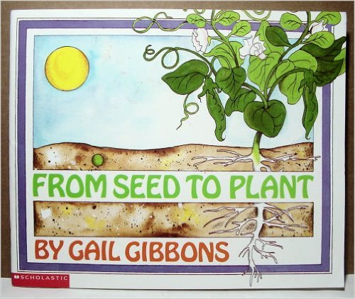 9780590638920: From seed to plant