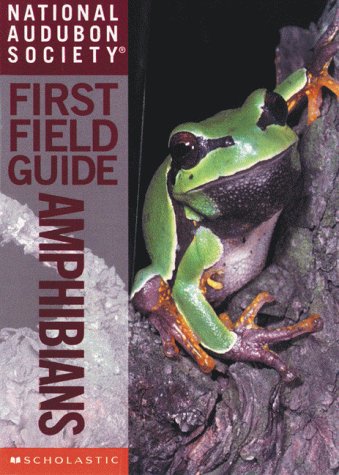 Stock image for National Audubon Society First Field Guide: Amphibians for sale by Jenson Books Inc