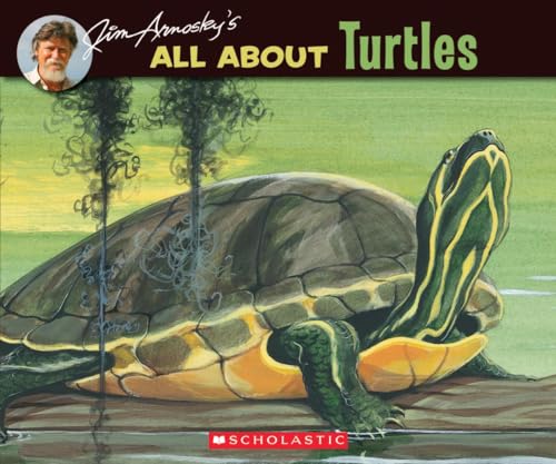 Imagen de archivo de All About Turtles a la venta por Gulf Coast Books