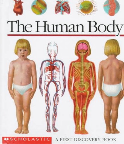 Beispielbild fr The Human Body: A First Discovery Book zum Verkauf von Wonder Book