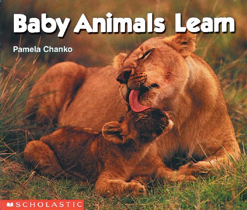 9780590761574: Baby Animals Learn: Bk. 2