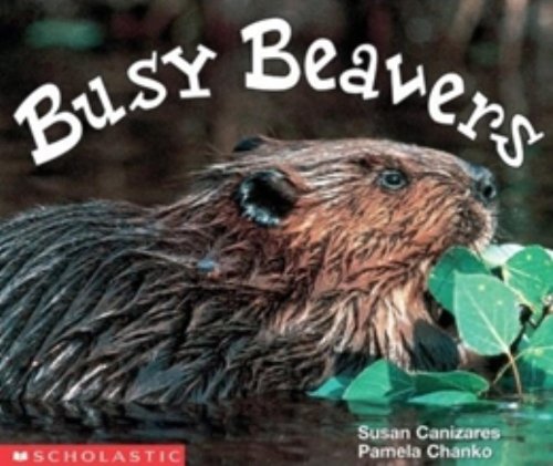 Imagen de archivo de Busy Beavers a la venta por Better World Books: West