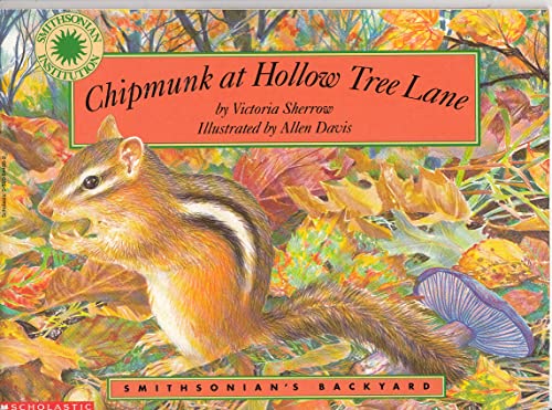 Beispielbild fr Chipmunk at Hollow Tree Lane (Smithsonian's Backyard) zum Verkauf von Gulf Coast Books