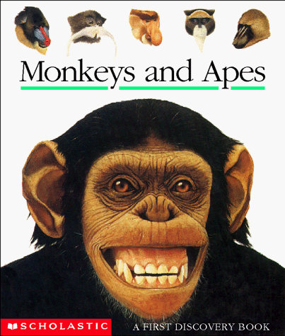 9780590876100: Monkeys and Apes (First Discovery Books)