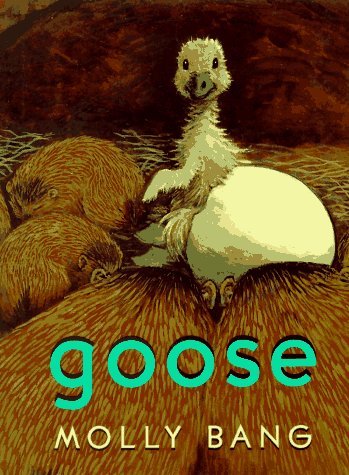 Beispielbild fr Goose zum Verkauf von Better World Books
