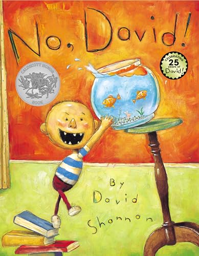 9780590930024: No, David! (David Books [Shannon])