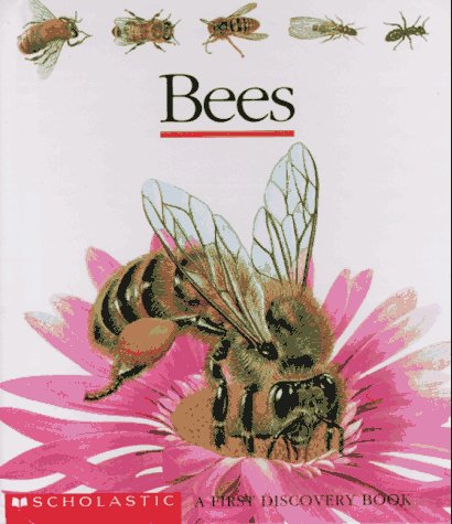 Beispielbild fr Bees zum Verkauf von ThriftBooks-Atlanta