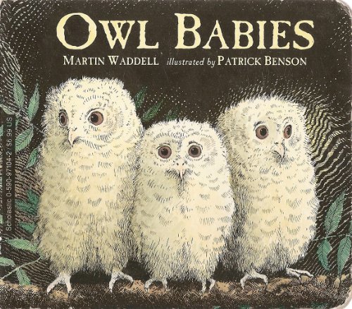 Beispielbild fr Owl Babies zum Verkauf von Wonder Book