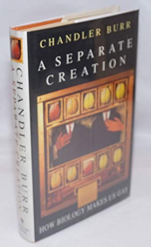Stock image for Separate Creation, A: How Biology Makes Us Gay for sale by Victoria Bookshop