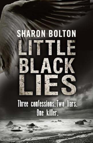 9780593069202: Little Black Lies: Three Confessions. Two Liars. One Killer.