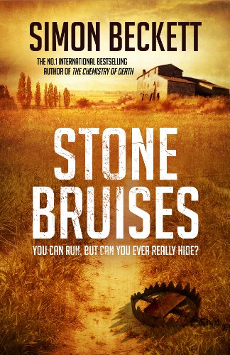 Imagen de archivo de Stone Bruises a la venta por WorldofBooks
