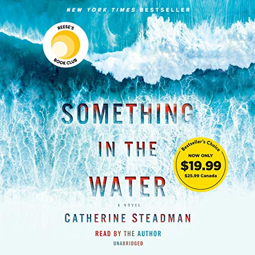 9780593105078: Something in the Water: A Novel
