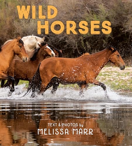 Beispielbild fr Wild Horses zum Verkauf von Better World Books