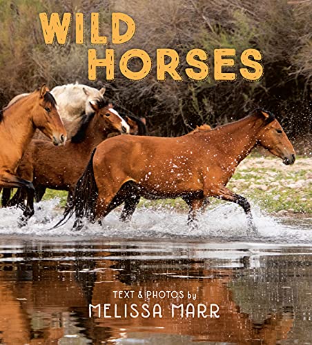 Stock image for Wild Horses for sale by SecondSale