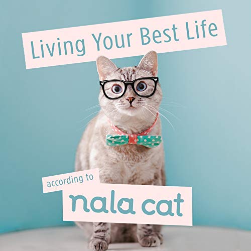 Beispielbild fr Living Your Best Life According to Nala Cat zum Verkauf von Wonder Book