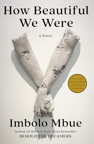 Stock image for How Beautiful We Were: A Novel for sale by ZBK Books