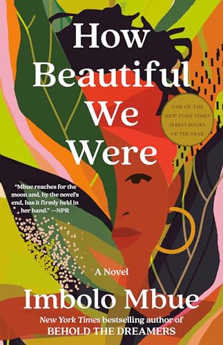 Stock image for How Beautiful We Were: A Novel for sale by SecondSale