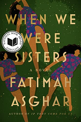 Beispielbild fr When We Were Sisters : A Novel zum Verkauf von Better World Books