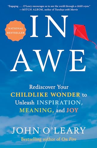 Imagen de archivo de In Awe: Rediscover Your Childlike Wonder to Unleash Inspiration, Meaning, and Joy a la venta por SecondSale