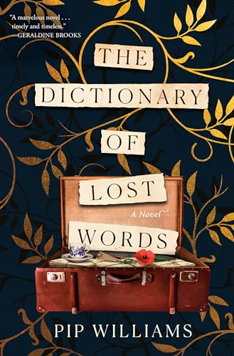 9780593160190: The Dictionary of Lost Words: A Novel