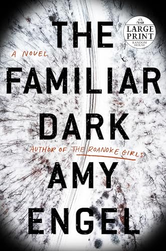 Beispielbild fr The Familiar Dark : A Novel zum Verkauf von Better World Books