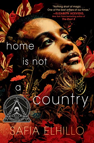 Imagen de archivo de Home Is Not a Country a la venta por SecondSale