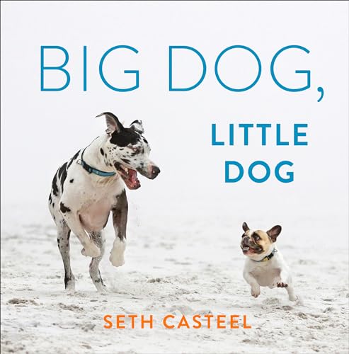 Beispielbild fr Big Dog, Little Dog zum Verkauf von Better World Books