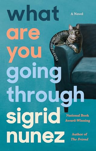 Beispielbild fr What Are You Going Through : A Novel zum Verkauf von Better World Books