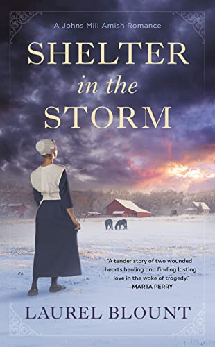Stock image for Shelter in the Storm (A Johns Mill Amish Romance) for sale by R Bookmark