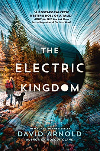 Beispielbild fr The Electric Kingdom zum Verkauf von Better World Books