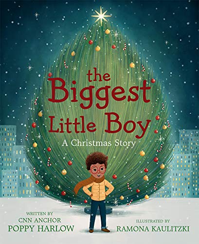 Beispielbild fr The Biggest Little Boy: A Christmas Story zum Verkauf von ZBK Books