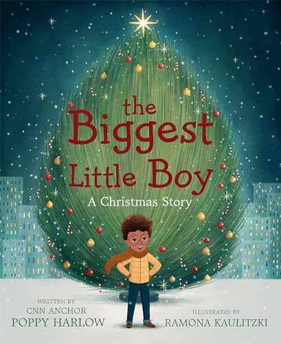 Stock image for The Biggest Little Boy: A Christmas Story for sale by ZBK Books