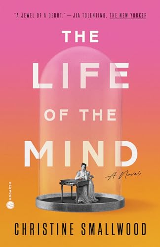 Imagen de archivo de The Life of the Mind: A Novel a la venta por Goodwill Books