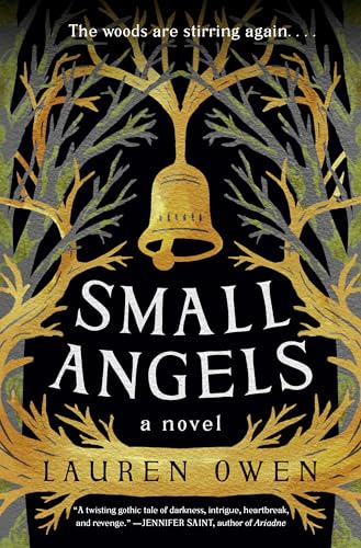 Stock image for Small Angels: A Novel for sale by BooksRun