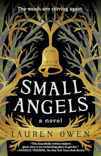 Stock image for Small Angels: A Novel for sale by HPB Inc.