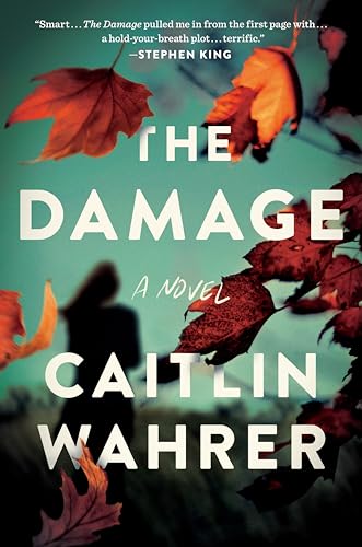 Beispielbild fr The Damage: A Novel zum Verkauf von BooksRun