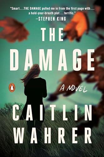Stock image for The Damage: A Novel for sale by BooksRun