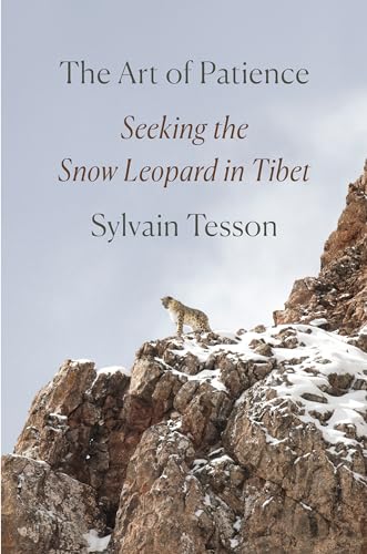 Beispielbild fr The Art of Patience: Seeking the Snow Leopard in Tibet zum Verkauf von New Legacy Books