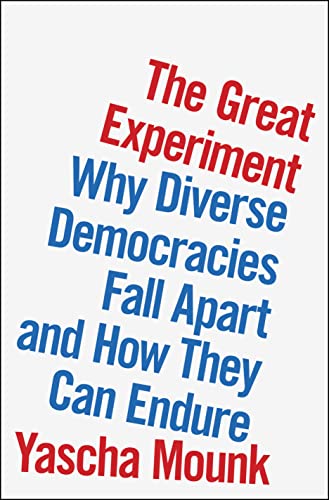 Imagen de archivo de The Great Experiment: Why Diverse Democracies Fall Apart and How They Can Endure a la venta por ThriftBooks-Dallas