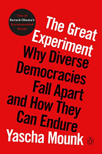 Beispielbild fr The Great Experiment: Why Diverse Democracies Fall Apart and How They Can Endure zum Verkauf von Half Price Books Inc.