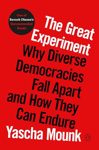 Imagen de archivo de The Great Experiment : Why Diverse Democracies Fall Apart and How They Can Endure a la venta por Better World Books